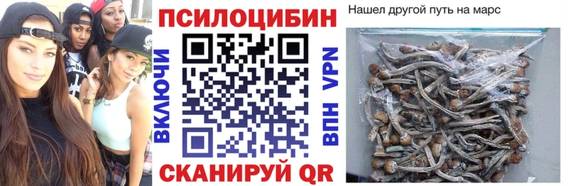 Галлюциногенные грибы Psilocybine cubensis  Купить закладки  Рассказово 